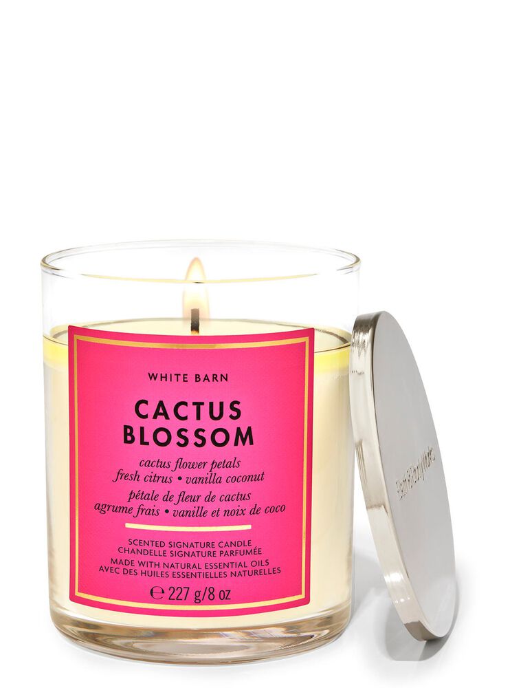 Nến 1 Bấc Cactus Blossom Single Wick Candle Nến 1 Bấc