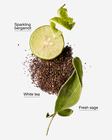 Nước Rửa Tay Tạo Bọt Dạng Hộp Bổ Sung White Tea & Sage Gentle & Clean Foaming Refill image number null