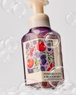 Nước Rửa Tay Tạo Bọt L&agrave;m Sạch & Dịu Nhẹ Pomegranate & Blackberry Gentle & Clean Foaming Hand Soap image number null