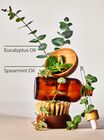 Vi&ecirc;n X&ocirc;ng Hơi Tắm Eucalyptus Spearmint Shower Steamers image number null