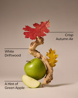 Xịt Ph&ograve;ng Đậm Đặc Lakeside Morning Concentrated Room Spray image number null