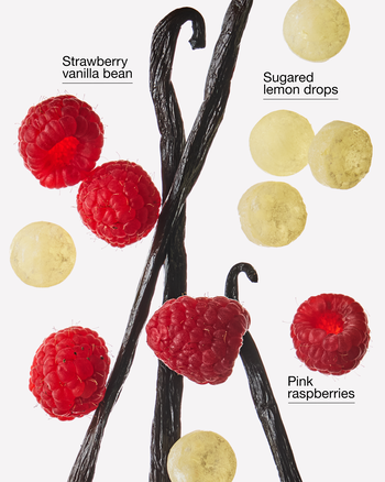Tinh Dầu X&ocirc;ng Ph&ograve;ng Raspberries & Whipped Vanilla Wallflowers Fragrance Refill Tinh Dầu X&ocirc;ng Ph&ograve;ng