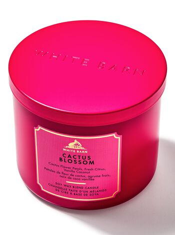 Nến 3 Bấc Cactus Blossom 3-Wick Candle Nến 3 Bấc