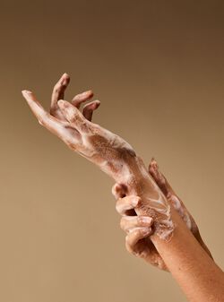 Fresh Sparkling Snow Gentle & Clean Foaming Hand Soap image number null