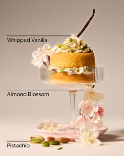 Xịt Thơm Cao Cấp Mini Size Toasted Pistachio Travel Size Fine Fragrance Mist