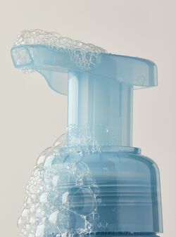 Nước Rửa Tay Tạo Bọt L&agrave;m Sạch & Dịu Nhẹ Frozen Lake Gentle & Clean Foaming Hand Soap image number null