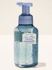 Iced Blue Lavender Gentle & Clean Foaming Hand Soap image number null