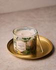 Nến 3 Bấc Morning Tea 3-Wick Candle image number null
