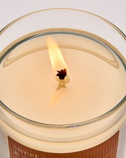 Nến 1 Bấc Sweet Orange & Agave Single Wick Candle image number null