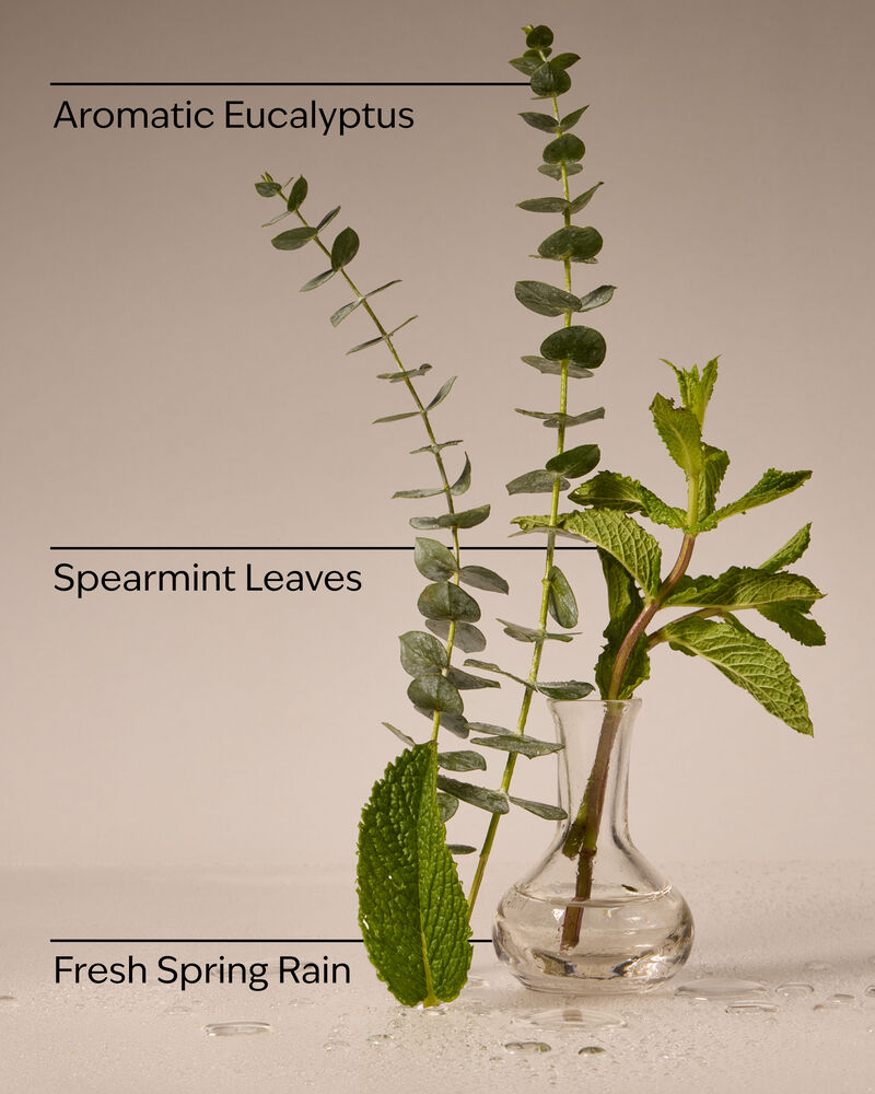 Tinh Dầu X&ocirc;ng Ph&ograve;ng Eucalyptus Rain Wallflowers Fragrance Refill Tinh Dầu X&ocirc;ng Ph&ograve;ng