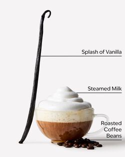 Nến 3 Bấc Freshly Brewed Coffee 3-Wick Candle image number null