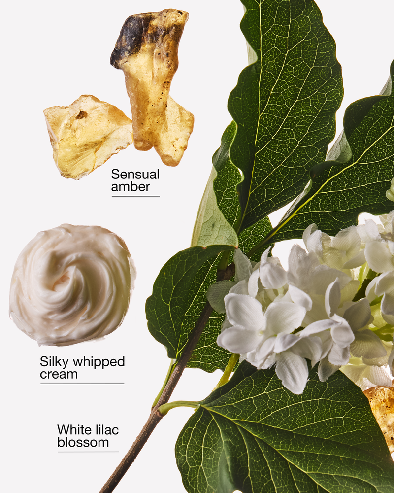 Tinh Dầu X&ocirc;ng Ph&ograve;ng Milk & Musk Wallflowers Fragrance Refill Wallflowers Fragrance Refill
