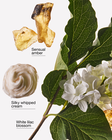 Tinh Dầu X&ocirc;ng Ph&ograve;ng Milk & Musk Wallflowers Fragrance Refill image number null