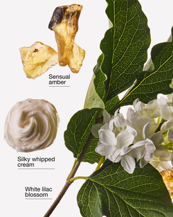 Tinh Dầu X&ocirc;ng Ph&ograve;ng Milk & Musk Wallflowers Fragrance Refill image number null