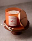 Nến 3 Bấc Pumpkin Pecan Waffles 3-Wick Candle image number null