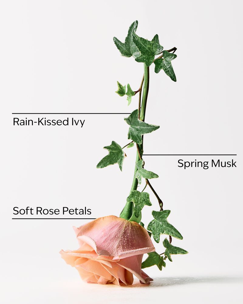 Rose Water & Ivy Concentrated Room Spray Concentrated Room Spray