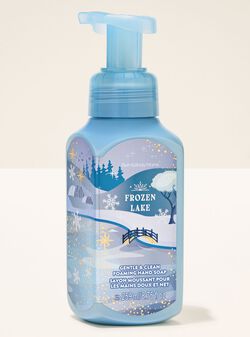 Nước Rửa Tay Tạo Bọt L&agrave;m Sạch & Dịu Nhẹ Frozen Lake Gentle & Clean Foaming Hand Soap image number null