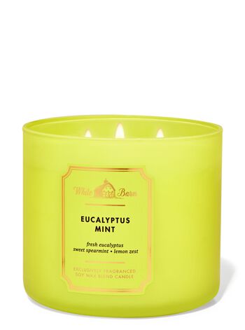 Nến 3 Bấc Eucalyptus Mint 3-Wick Candle Nến 3 Bấc
