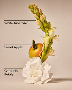 Nến 3 Bấc White Gardenia 3-Wick Candle image number null