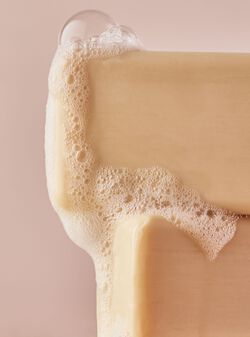 X&agrave; Ph&ograve;ng Cục Champagne Toast Shea Butter Cleansing Bar image number null