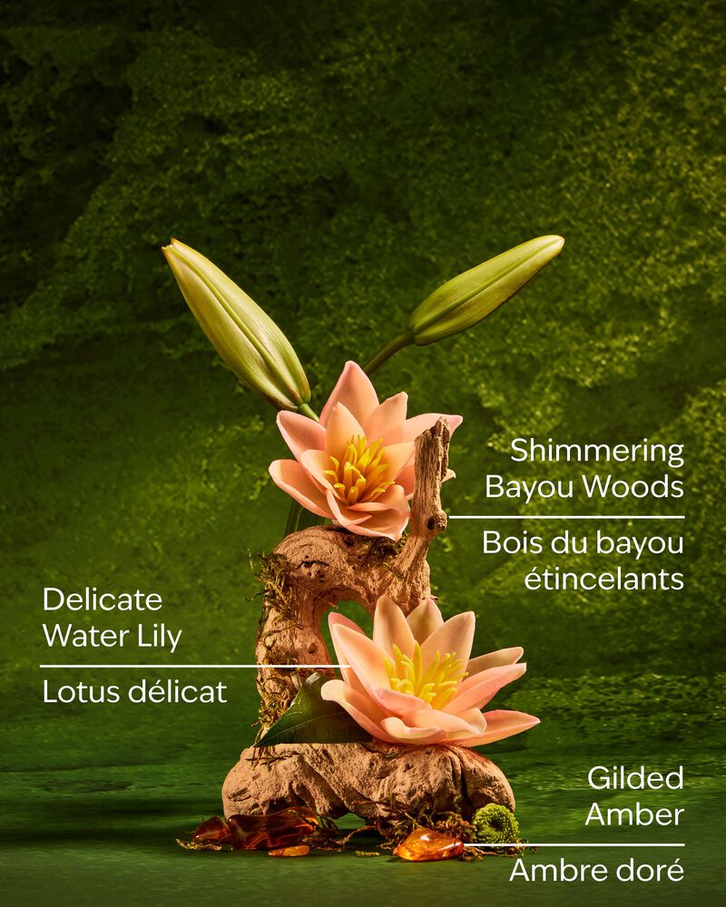 Nước Rửa Tay Tạo Bọt Tiana Gentle & Clean Foaming Hand Soap Gentle & Clean Foaming Hand Soap