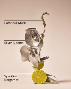 Sữa Dưỡng Thể Dưỡng Da H&agrave;ng Ng&agrave;y Platinum Daily Nourishing Body Lotion