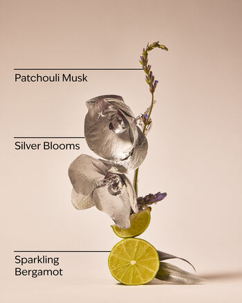 Sữa Dưỡng Thể Dưỡng Da H&agrave;ng Ng&agrave;y Platinum Daily Nourishing Body Lotion Sữa Dưỡng Thể