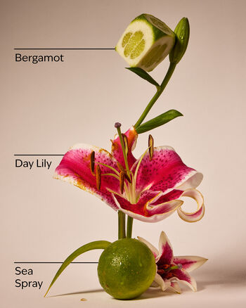 Turquoise Waters Cleansing Gel Hand Soap Cleansing Gel Hand Soap