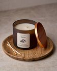 Nến 3 Bấc Leaves 3-Wick Candle image number null