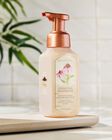 Nước Rửa Tay Tạo Bọt Springtime Greenhouse Gentle & Clean Foaming Hand Soap image number null