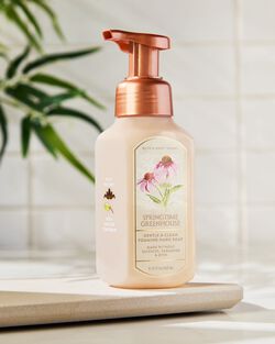 Nước Rửa Tay Tạo Bọt Springtime Greenhouse Gentle & Clean Foaming Hand Soap image number null