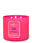 Nến 3 Bấc Cactus Blossom 3-Wick Candle image number null