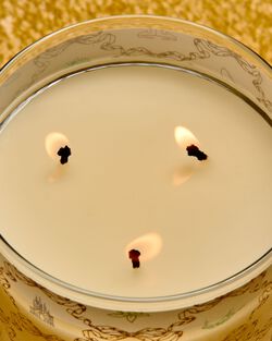 Nến 3 Bấc Life's a Fairytale 3-Wick Candle image number null