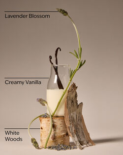 Bơ Dưỡng Thể Lavender Vanilla Body Butter image number null