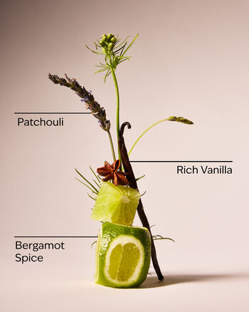 Sữa Tắm 3 trong 1 (cho t&oacute;c, mặt & cơ thể) Vanilla Noir 3-in-1 Hair, Face & Body Wash Sữa Tắm & Gel Tắm