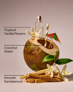 Paradise Vanilla Wallflowers Fragrance Refill image number null