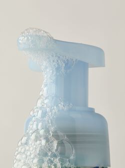 Fresh Sparkling Snow Gentle & Clean Foaming Hand Soap image number null