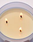 Nến 3 Bấc Violet & Musk 3-Wick Candle image number null