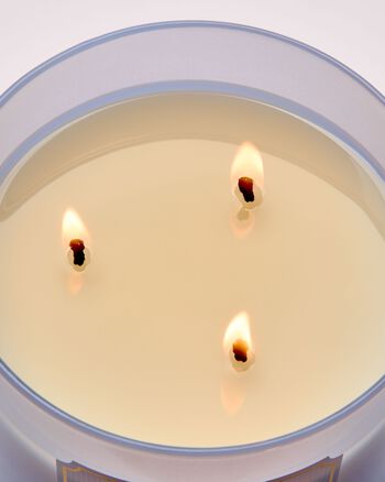 Nến 3 Bấc Violet & Musk 3-Wick Candle 3-Wick Candle