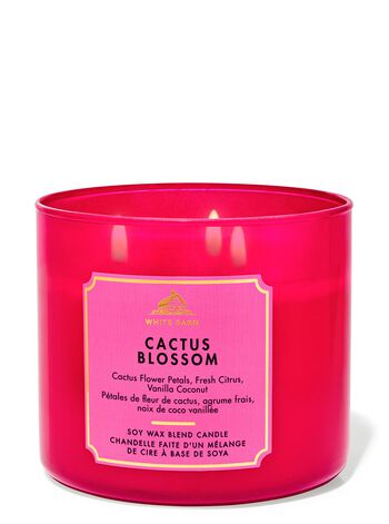 Cactus Blossom 3-Wick Candle Nến 3 Bấc