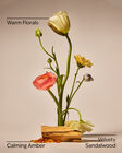 Nến 3 Bấc Warm Summer Evening 3-Wick Candle image number null