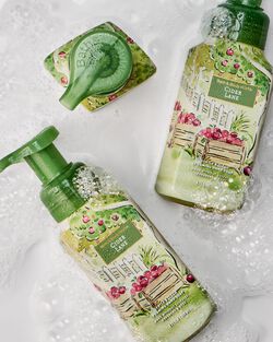 Nước Rửa Tay Tạo Bọt L&agrave;m Sạch & Dịu Nhẹ Cider Lane Gentle & Clean Foaming Hand Soap image number null