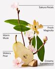Sữa Tắm Forever Cherry Blossom Body Wash image number null