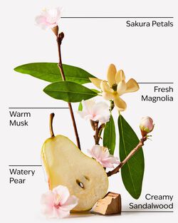 Sữa Tắm Forever Cherry Blossom Body Wash image number null