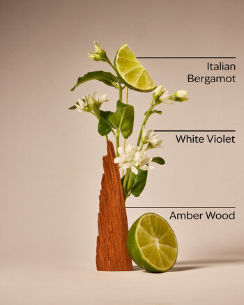 Nến 3 Bấc Sunwashed Santal 3-Wick Candle 3-Wick Candle