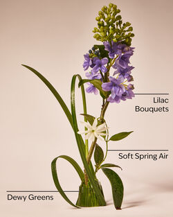 Nến 1 Bấc Fresh Cut Lilacs Single Wick Candle image number null