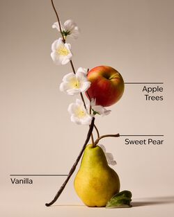 Nước Hoa &Ocirc; T&ocirc; Spring Apple Car Fragrance Refill image number null