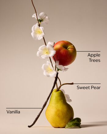 Nước Hoa &Ocirc; T&ocirc; Spring Apple Car Fragrance Refill Car Fragrance Refill