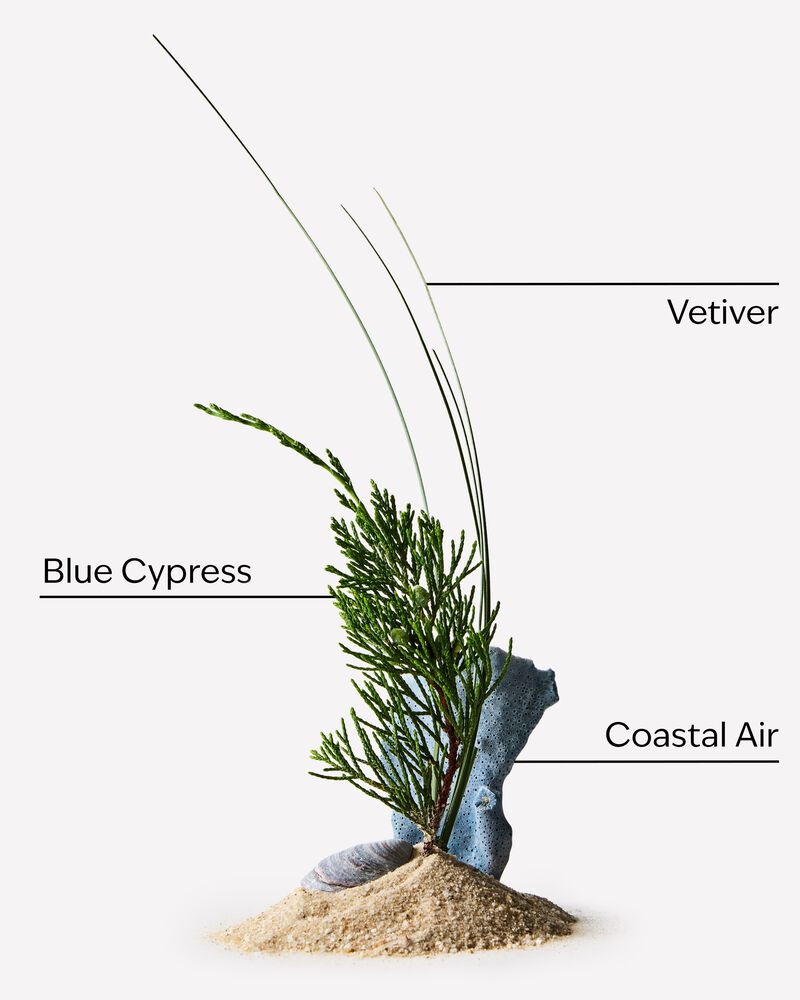 Ocean Shampoo Shampoo