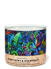 Nến 3 Bấc Sweet Kiwi & Starfruit 3-Wick Candle image number null